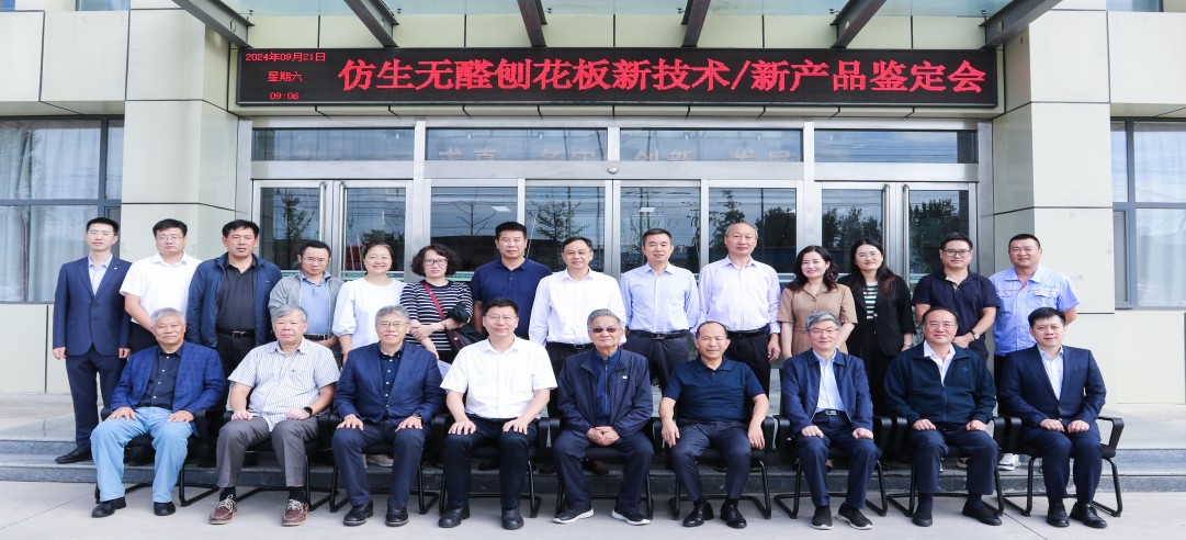 重磅！新港集團(tuán)和東北林業(yè)大學(xué)共同研發(fā)的仿生無(wú)醛刨花板新技術(shù)/新產(chǎn)品通過(guò)4項(xiàng)“國(guó)際領(lǐng)先”水平鑒定!