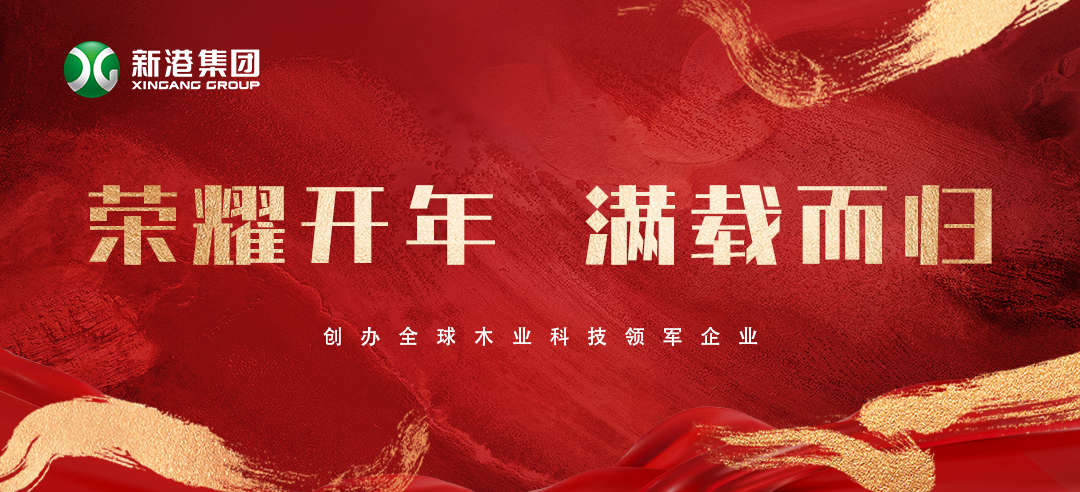 2025喜訊頻傳！新港集團(tuán)榮膺多項(xiàng)大獎(jiǎng)，再獲行業(yè)認(rèn)可！