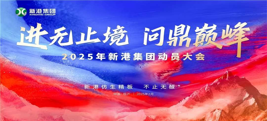 進(jìn)無(wú)止境，問(wèn)鼎巔峰！2025年新港集團(tuán)動(dòng)員大會(huì)成功召開(kāi)！